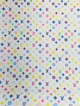 Load image into Gallery viewer, Louis Vuitton Canvas in Black and White Rainbow Logos
